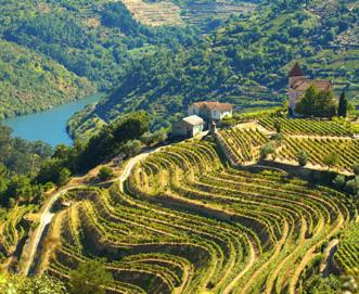 CRUCEROS DUERO REGUA CRUCEROS FLUVIALES CRUCEROS VINO CRUCEROS PORTUGAL CRUCEROS FLUVIALES DUERO